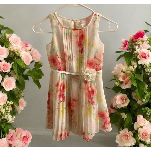 Janie And Jack Girls Pink And White Floral Sleeveless Sunday Dress Size 6 - Picture 2 of 14